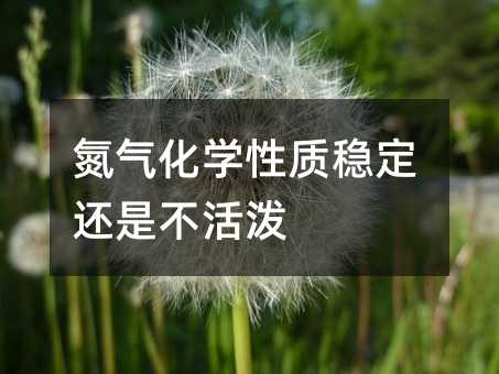 ������ѧ�����ȶ����ǲ�����