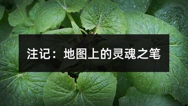 注记:地图上的灵魂之笔