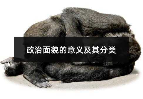 政治面貌的意义及其分类