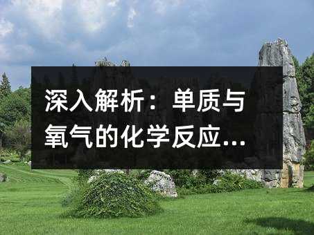 深入解析:单质与氧气的化学反应精要