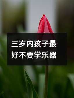 三岁内孩子最好不要学乐器