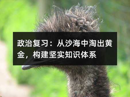 政治复习:从沙海中淘出黄金,构建坚实知识体系