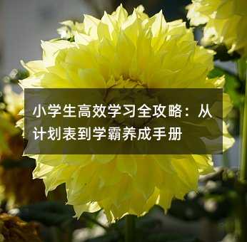 小学生高效学习全攻略:从计划表到学霸养成手册