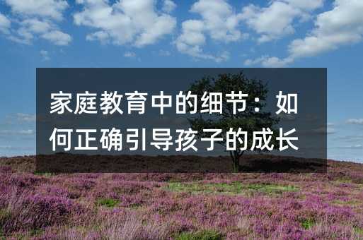 家庭教育中的细节:如何正确引导孩子的成长