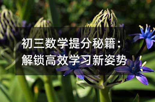 初三数学提分秘籍:解锁高效学习新姿势