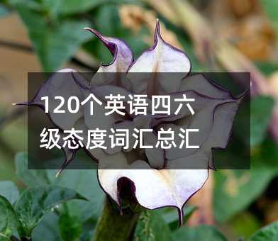 120个英语四六级态度词汇总汇