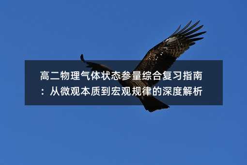 高二物理气体状态参量综合复习指南:从微观本质到宏观规律的深度解析