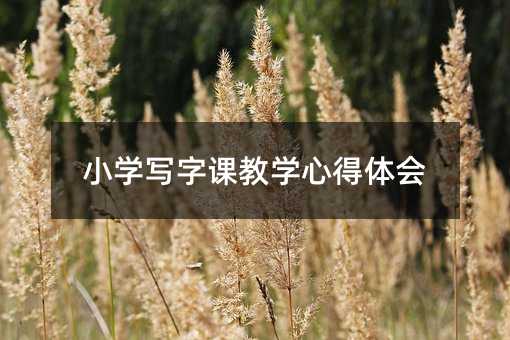 小学写字课教学心得体会