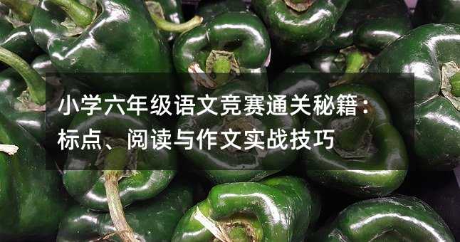 小学六年级语文竞赛通关秘籍:标点、阅读与作文实战技巧