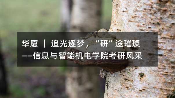   ׷ΣС;財ϢܻѧԺз