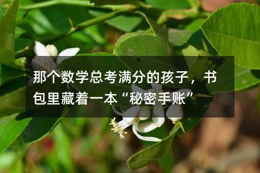 那个数学总考满分的孩子,书包里藏着一本“秘密手账”