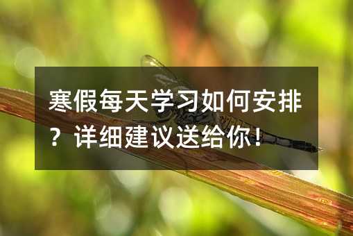 寒假每天学习如何安排?详细建议送给你!