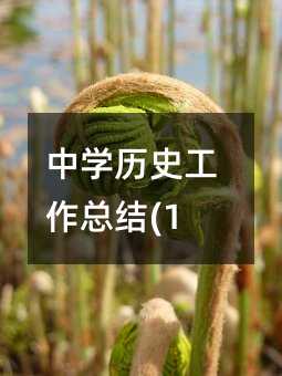 中学历史工作总结(10)