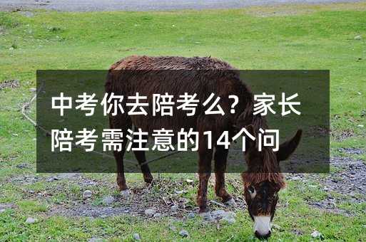 中考你去陪考么?家长陪考需注意的14个问题