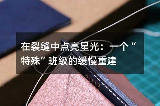 在裂缝中点亮星光:一个“特殊”班级的缓慢重建