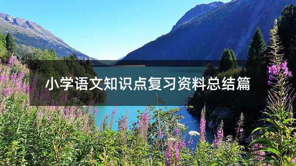 小学语文知识点复习资料总结篇