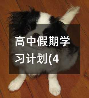 ���м���ѧϰ�ƻ�(4)