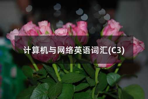 �����������Ӣ��ʻ�(C3)