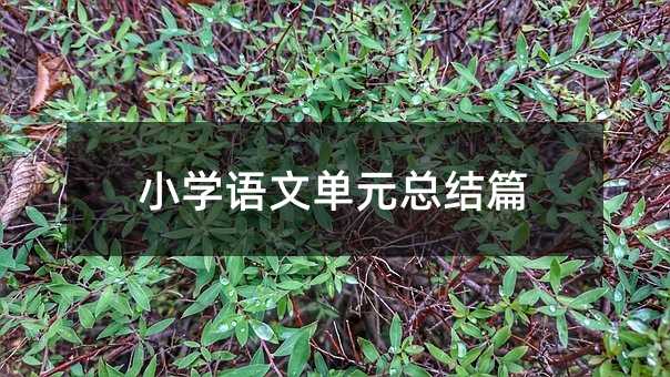 Сѧ���ĵ�Ԫ�ܽ�ƪ