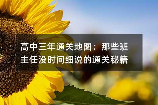 高中三年通关地图:那些班主任没时间细说的通关秘籍