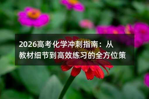 2026高考化学冲刺指南:从教材细节到高效练习的全方位策略