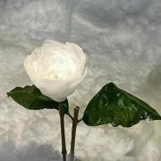 小梓涵家教辅导案例